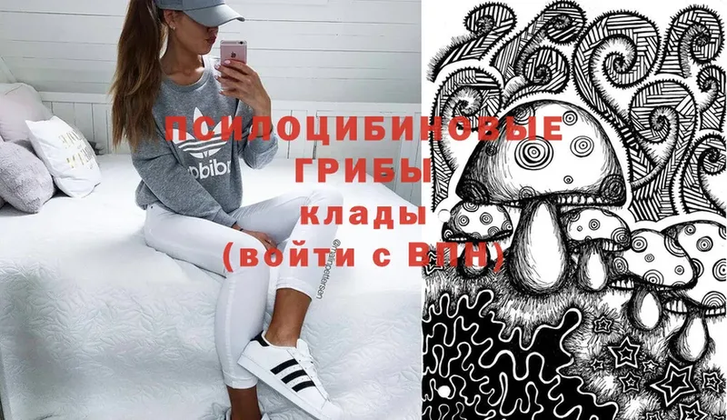 закладка  Никольское  OMG как зайти  Псилоцибиновые грибы Psilocybe 